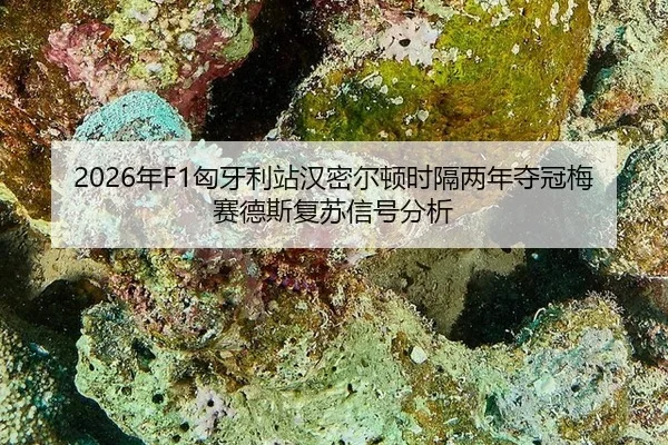nian-xiong-ya-li-zhan-han-mi-er-dun-shi-ge-liang-nian-duo-guan-mei-sai-de-si-fu-su-xin-hao-fen-xi-2-940.jpg